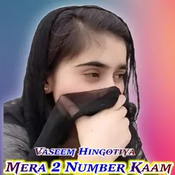 Mera 2 Number Kaam